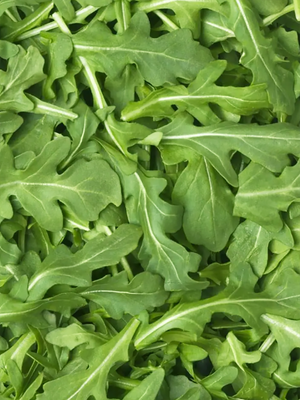 Baby Arugula