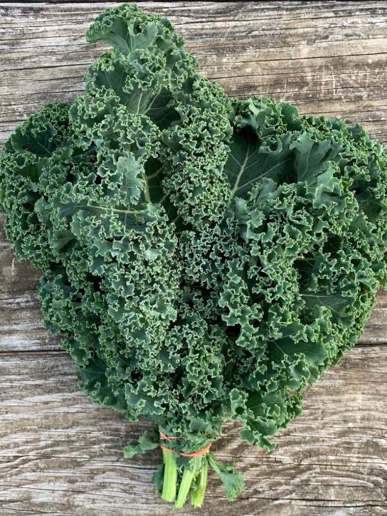 Kale (bunch)