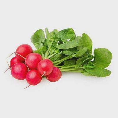 Red Radishes (bunch)