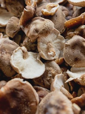 Shiitake Mushrooms
