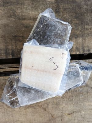 Sablefish AKA Black Cod