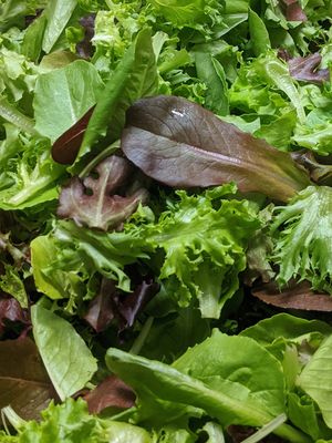 Chef's Mix Salad Greens