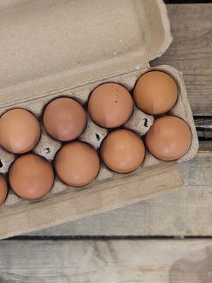 Kingston Eggs (Dozen)