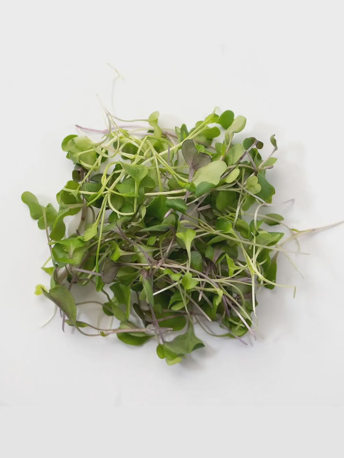 Micro-Mix Microgreens