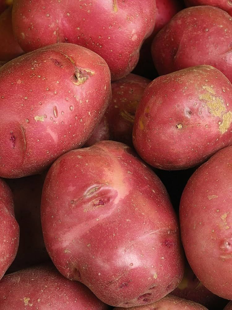 Red Potatoes