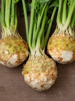 Celeriac (head)