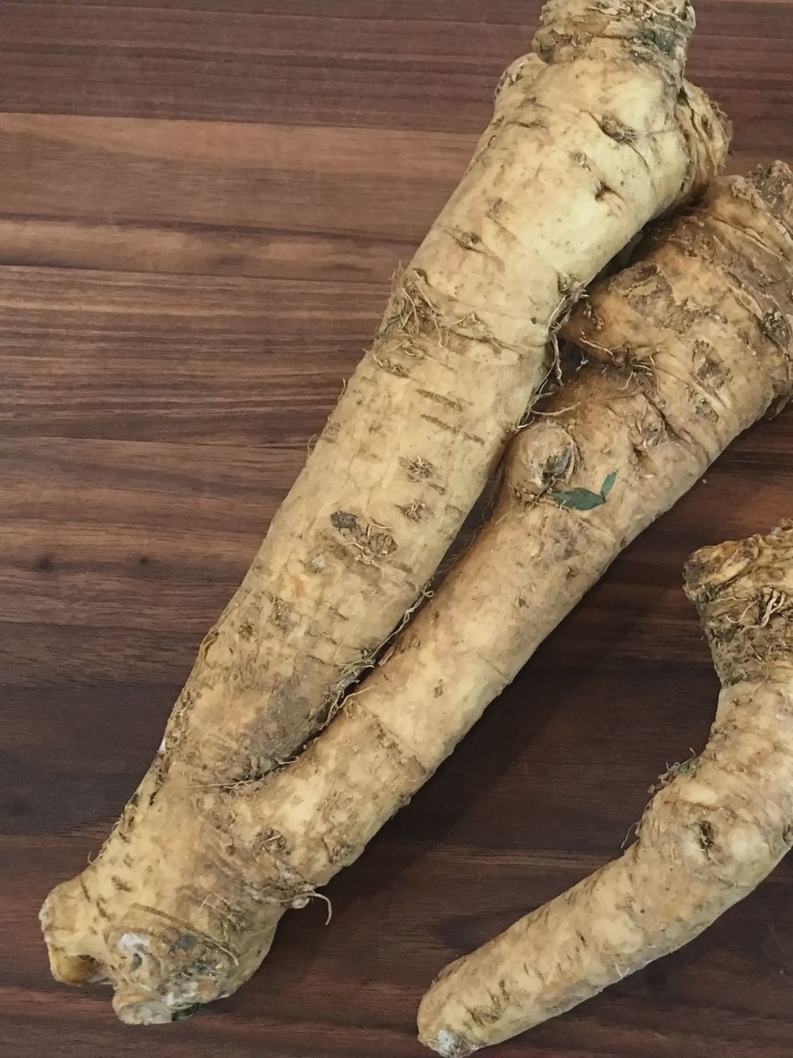 Horseradish