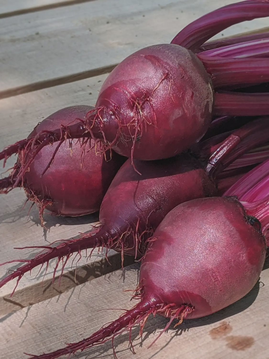 Beets (2lb), Choose Option: Red