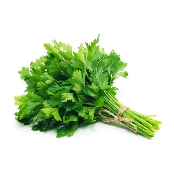 Cilantro (bunch)