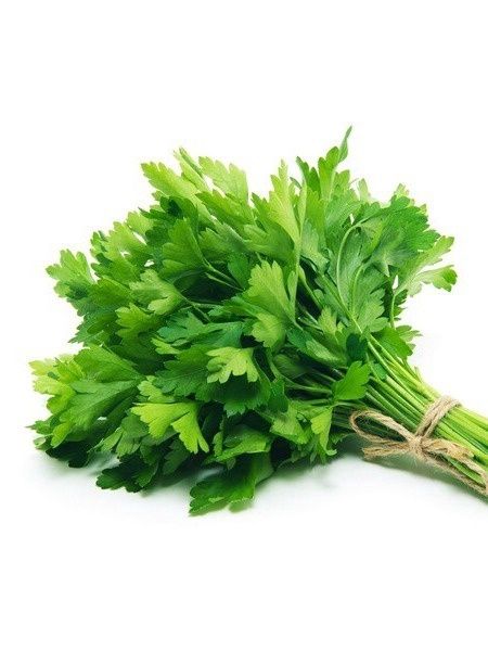 Cilantro (bunch)