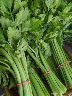 Celery (bunch)