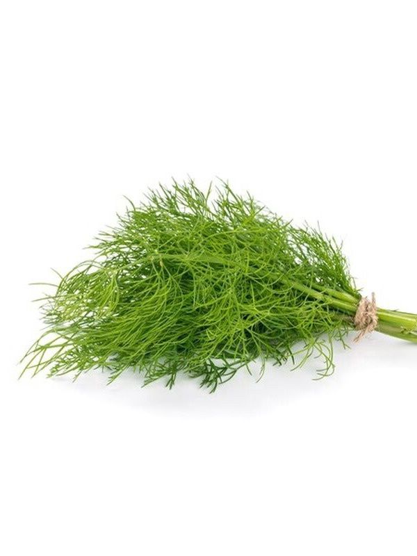 Dill (bunch)