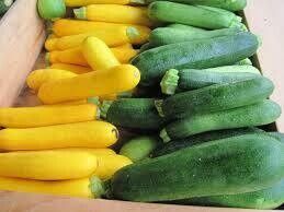 Zucchini