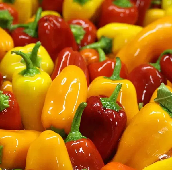 Mini Sweet Peppers (lb)
