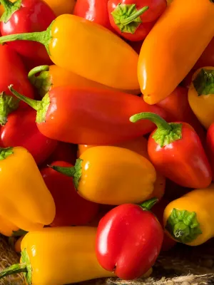 Mini Sweet Peppers (lb)