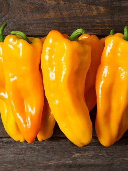 Escamillo Pepper