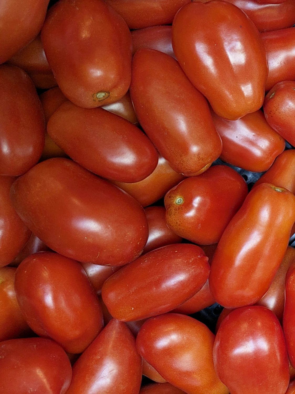 Roma Tomatoes