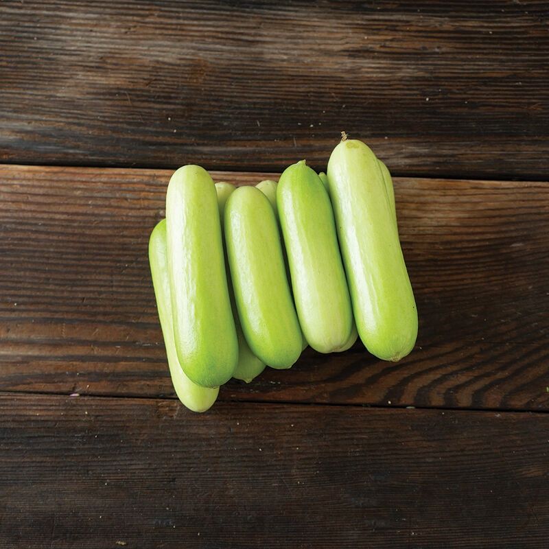 Snacking Cucumbers