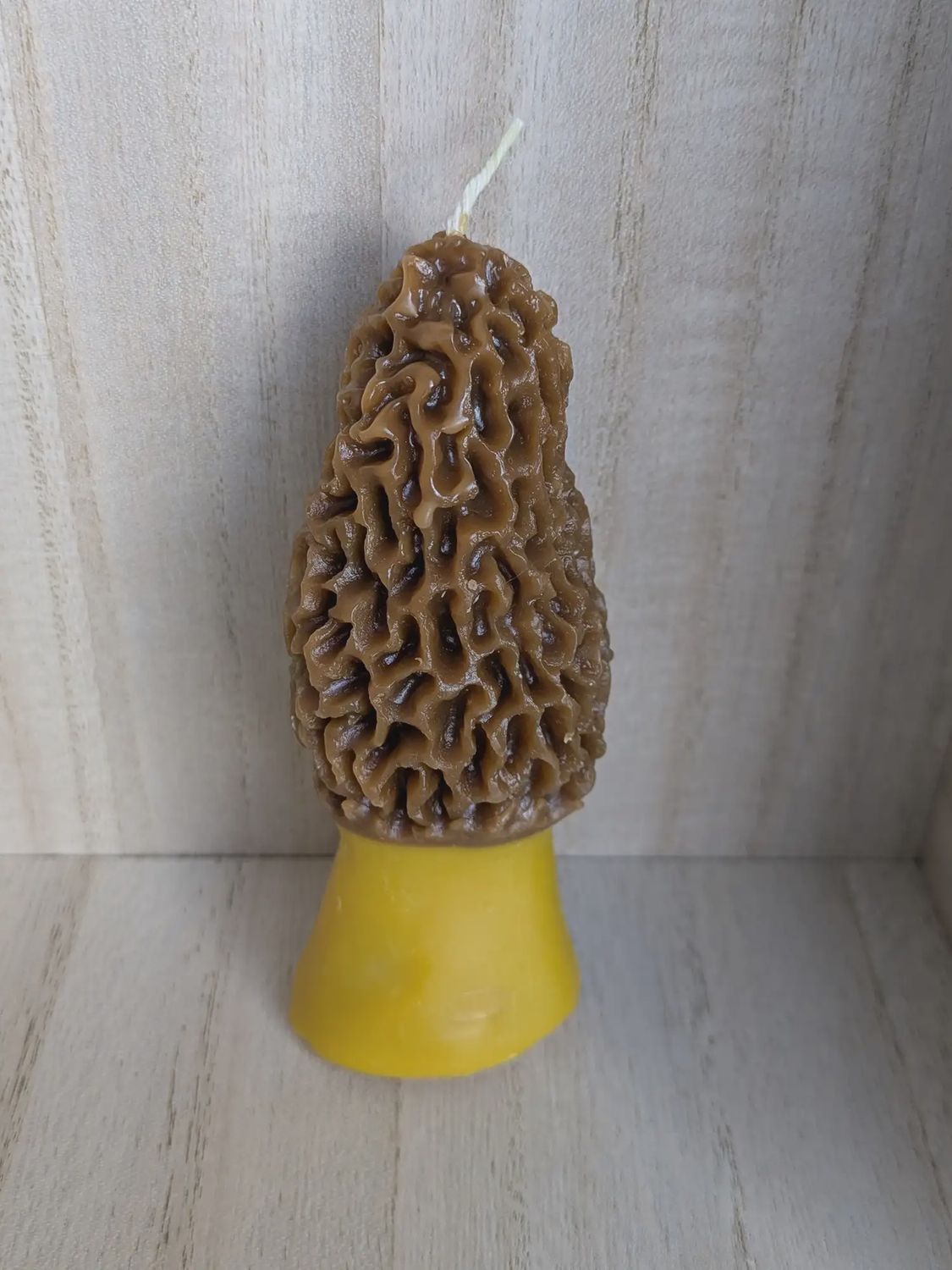 Beeswax Candle, Choose Option: Morel Mushroom