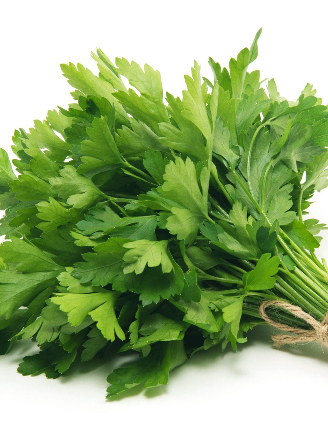 Parsley  (bunch)