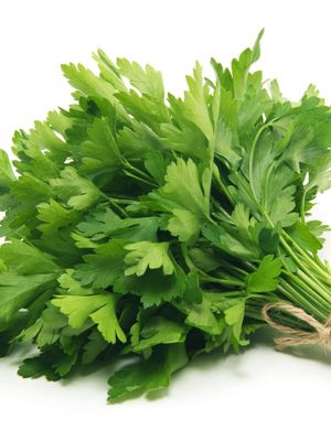 Parsley  (bunch)