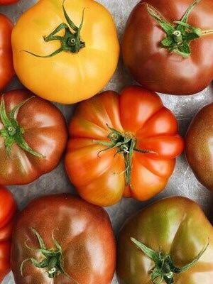 Heirloom Tomatoes