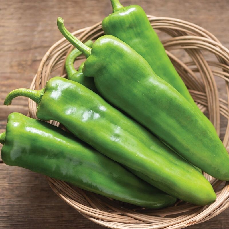 Green Carmen Pepper