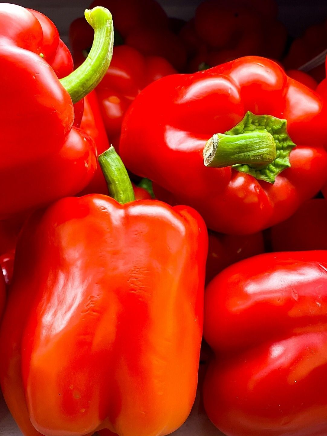 Red Bell Pepper