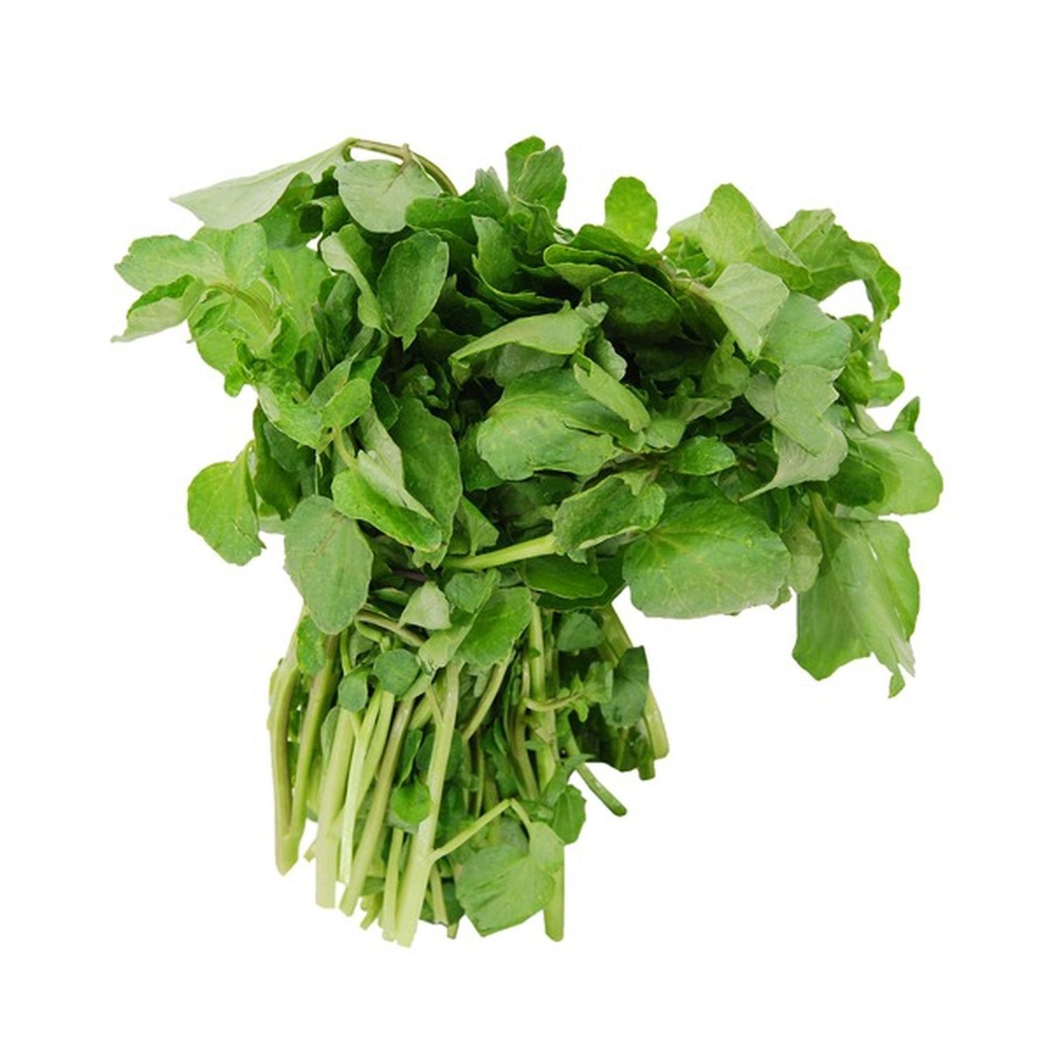 Watercress