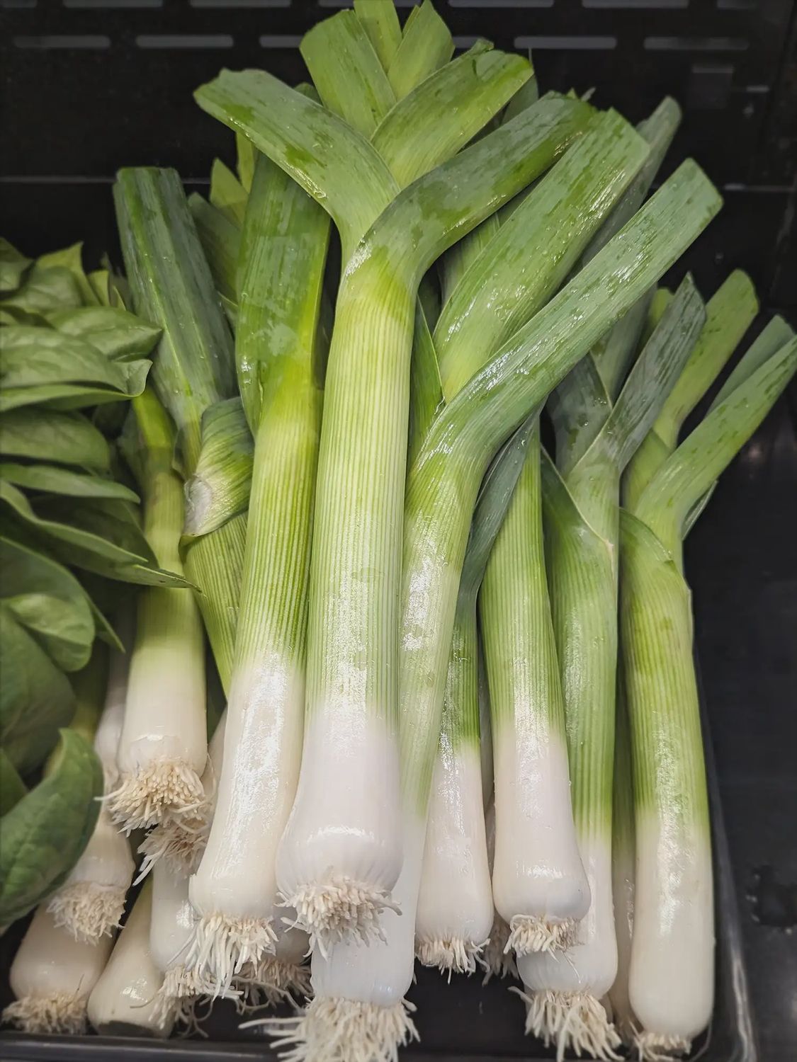 Leeks (lb)