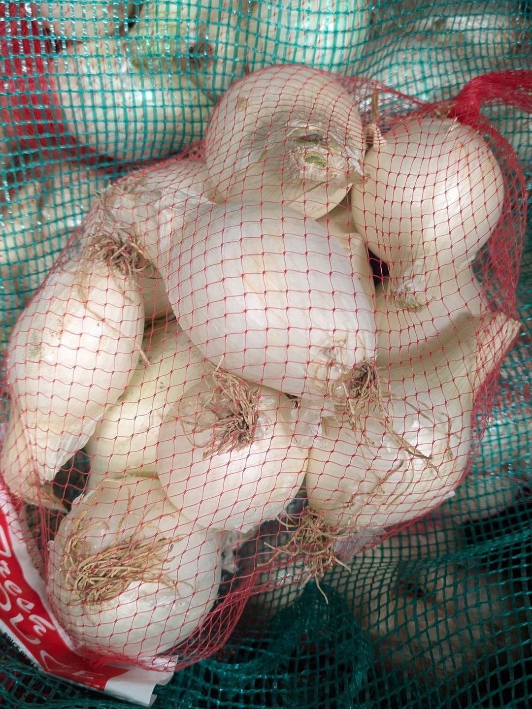 White Onions (3 lbs)