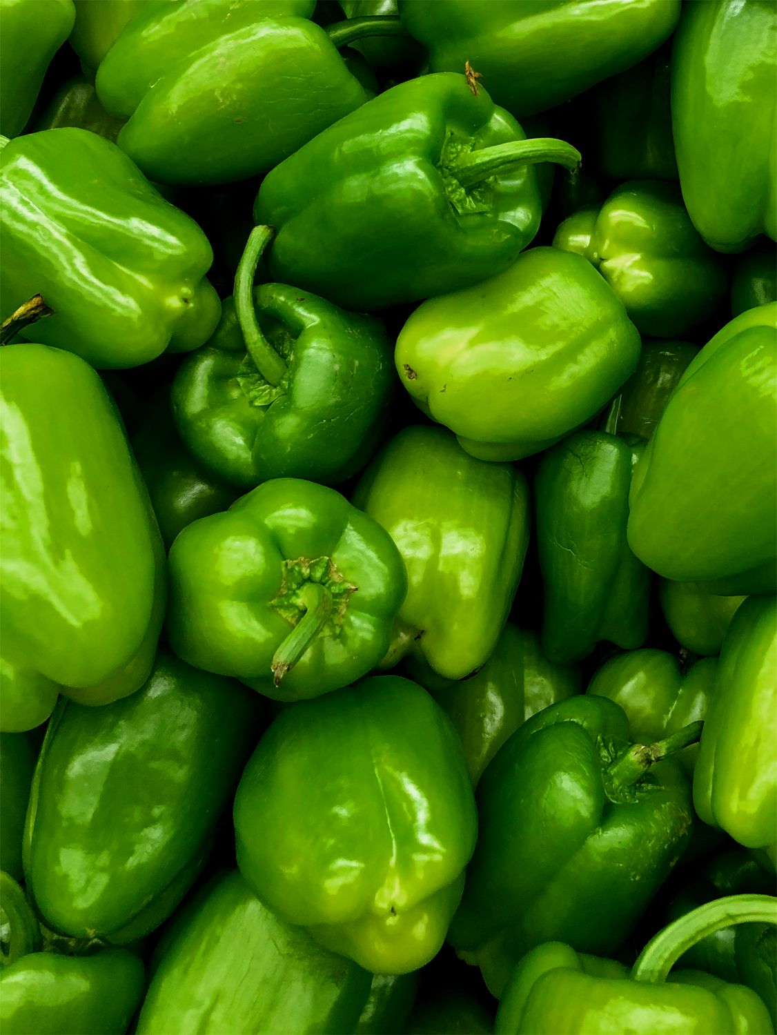 Green Bell Pepper