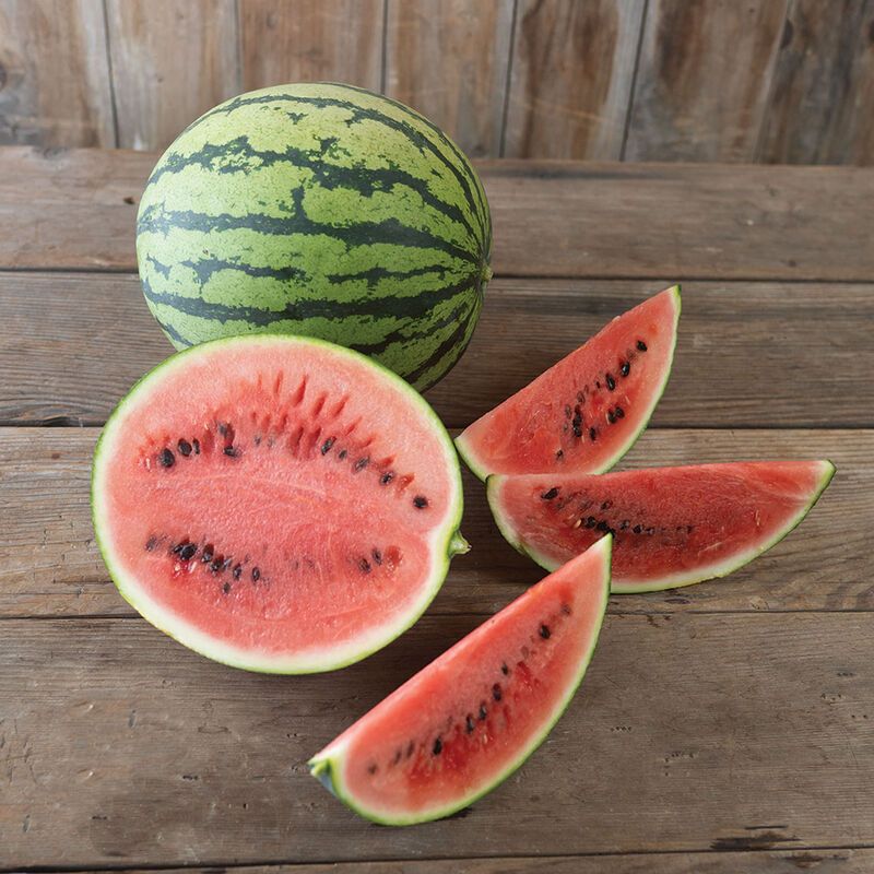 Red Watermelon