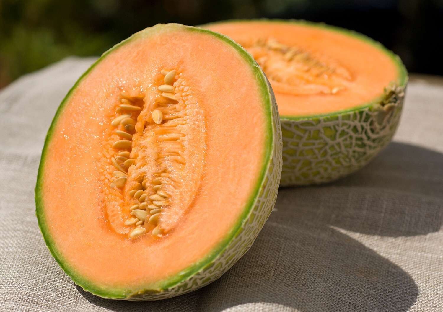 Sugar Cube Cantaloupe