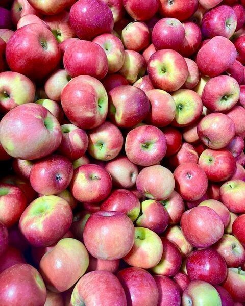 Blue Roof Orchard Apples (3lb)