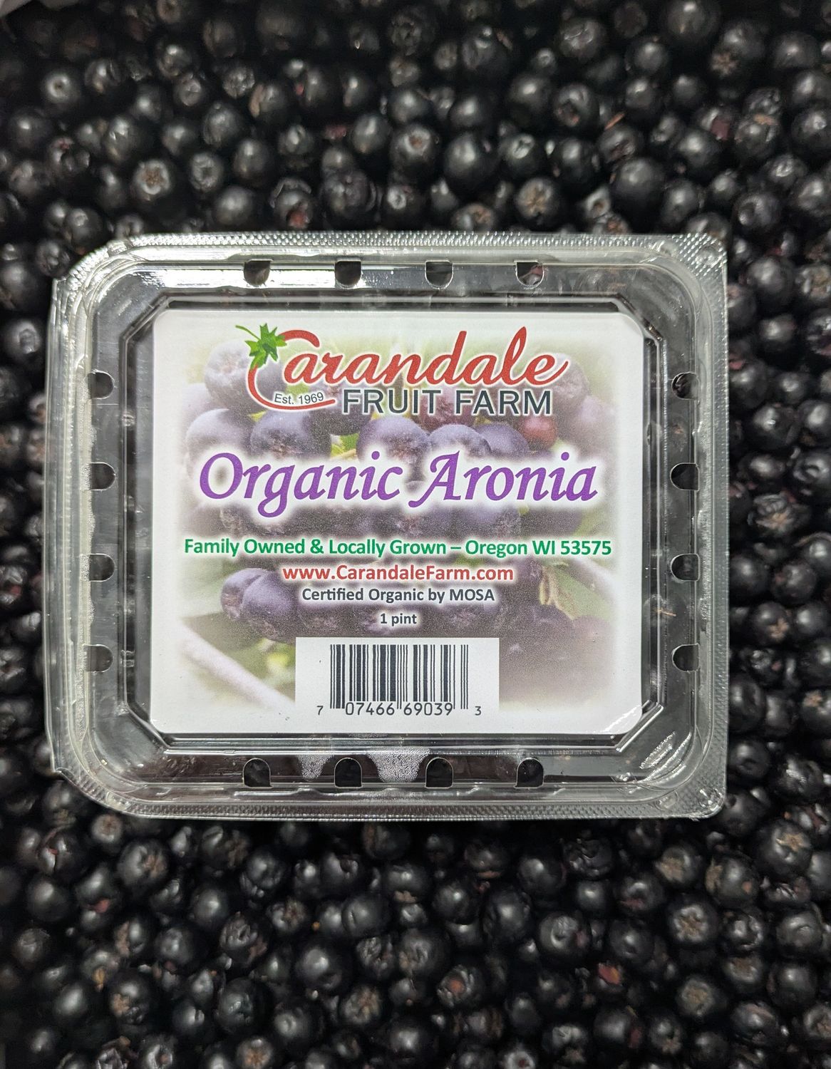 Aronia Berries (pt)