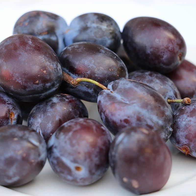 Stanley Plums (2lb)