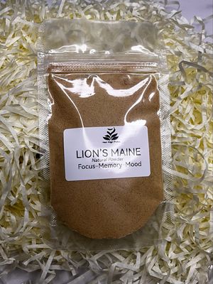Lions Maine powder 30g