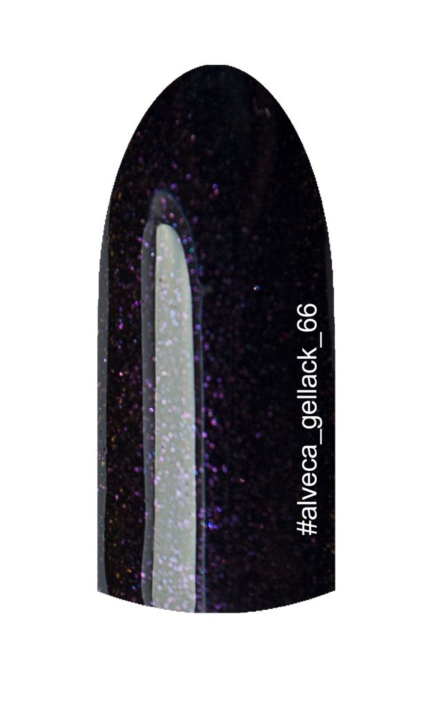 Gellack 66