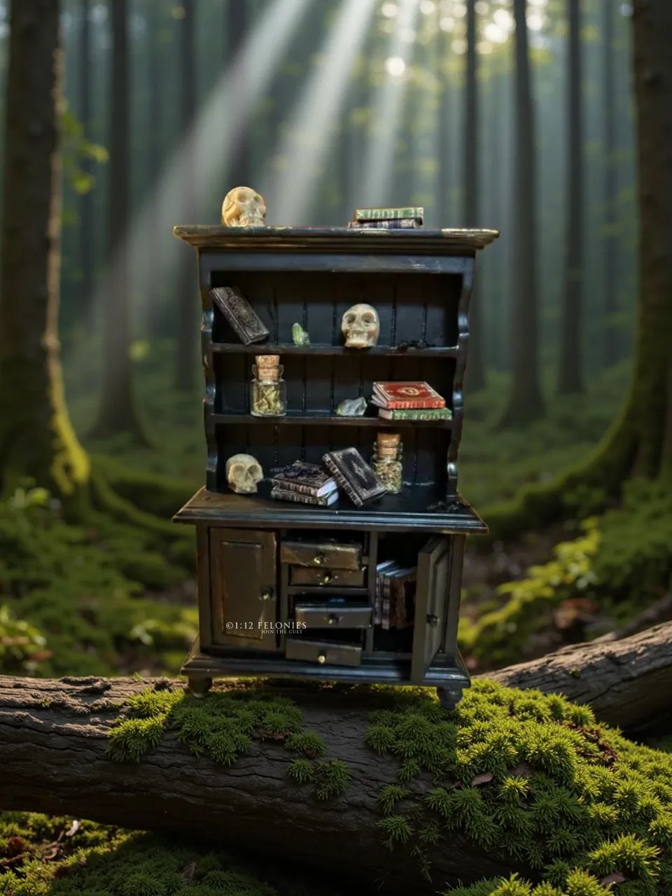 The Cabinet of the Forgotten — 1:12 Felonies