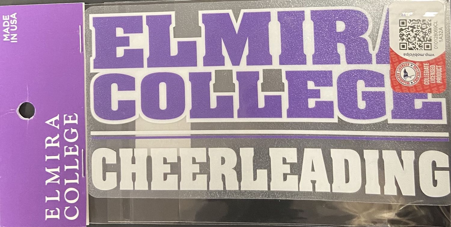 CHEERLEADING DECAL