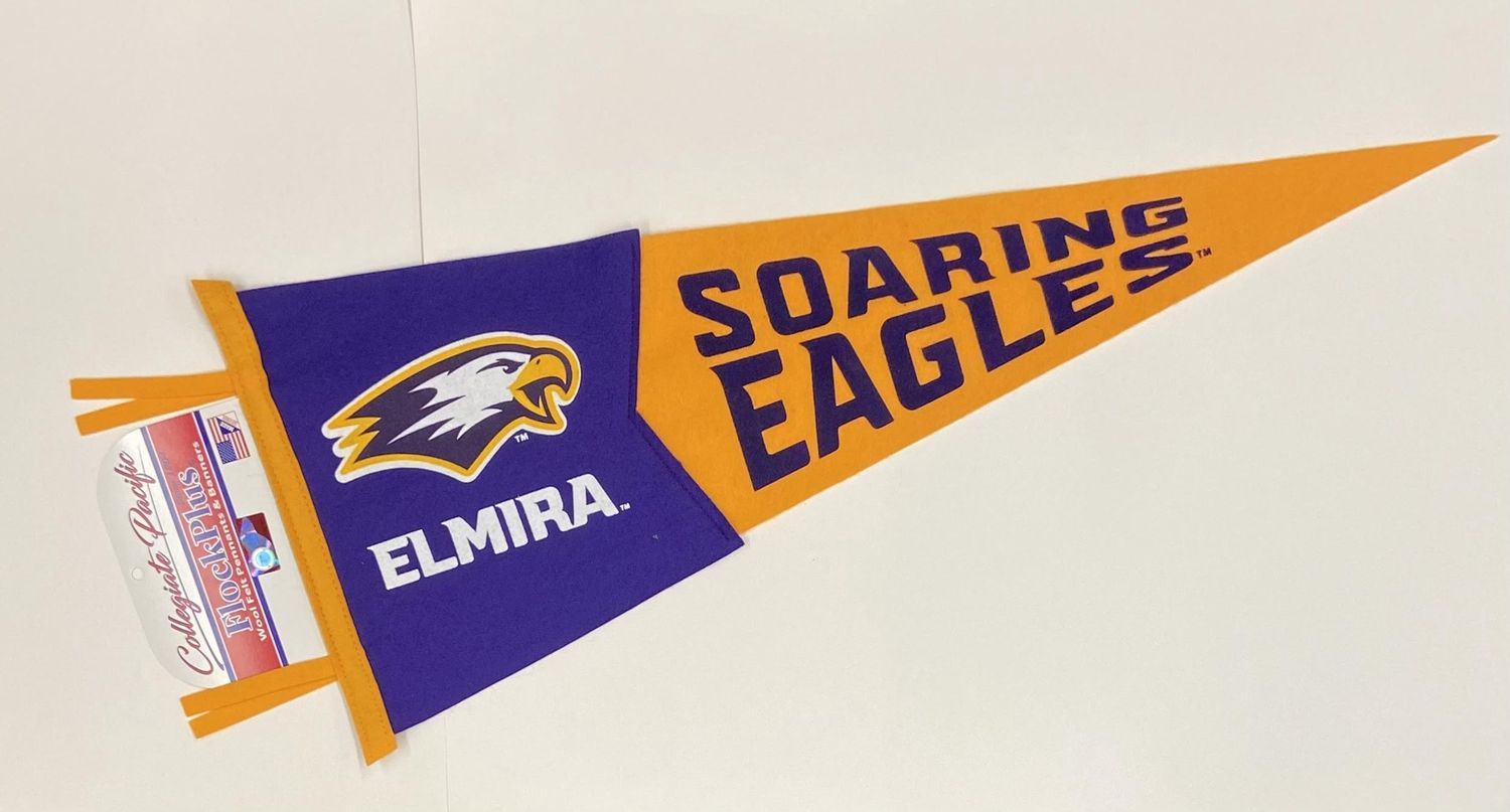 EC SOARIN EAGL PENNANT