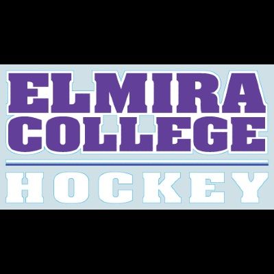 HOCKEY DECAL