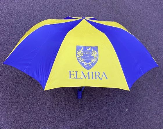 PURPLE AND GOLD UMBRELLA