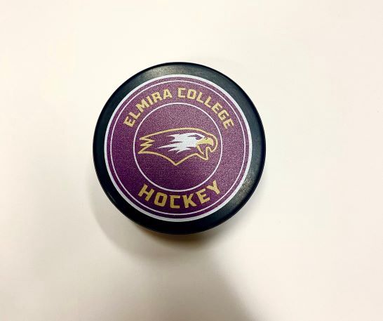 NEW EC HOCKEY PUCKS