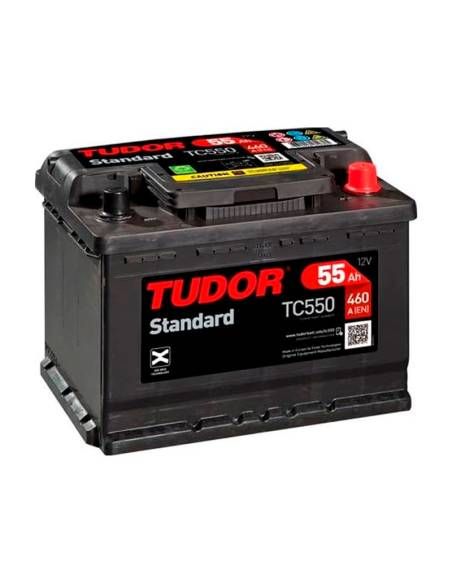 Tudor-Battery #8D 1550