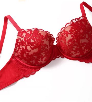 Embroidered Lace Bra – Ready Stock &amp; Wholesale Available