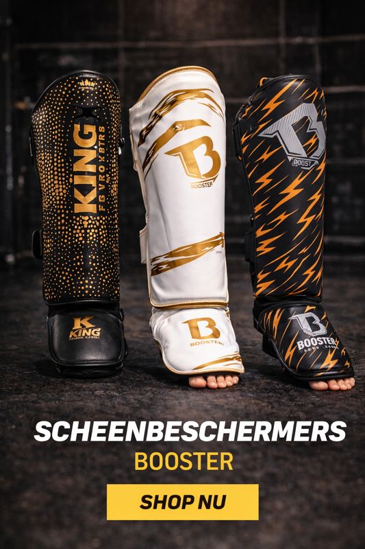 Scheenbeschermers