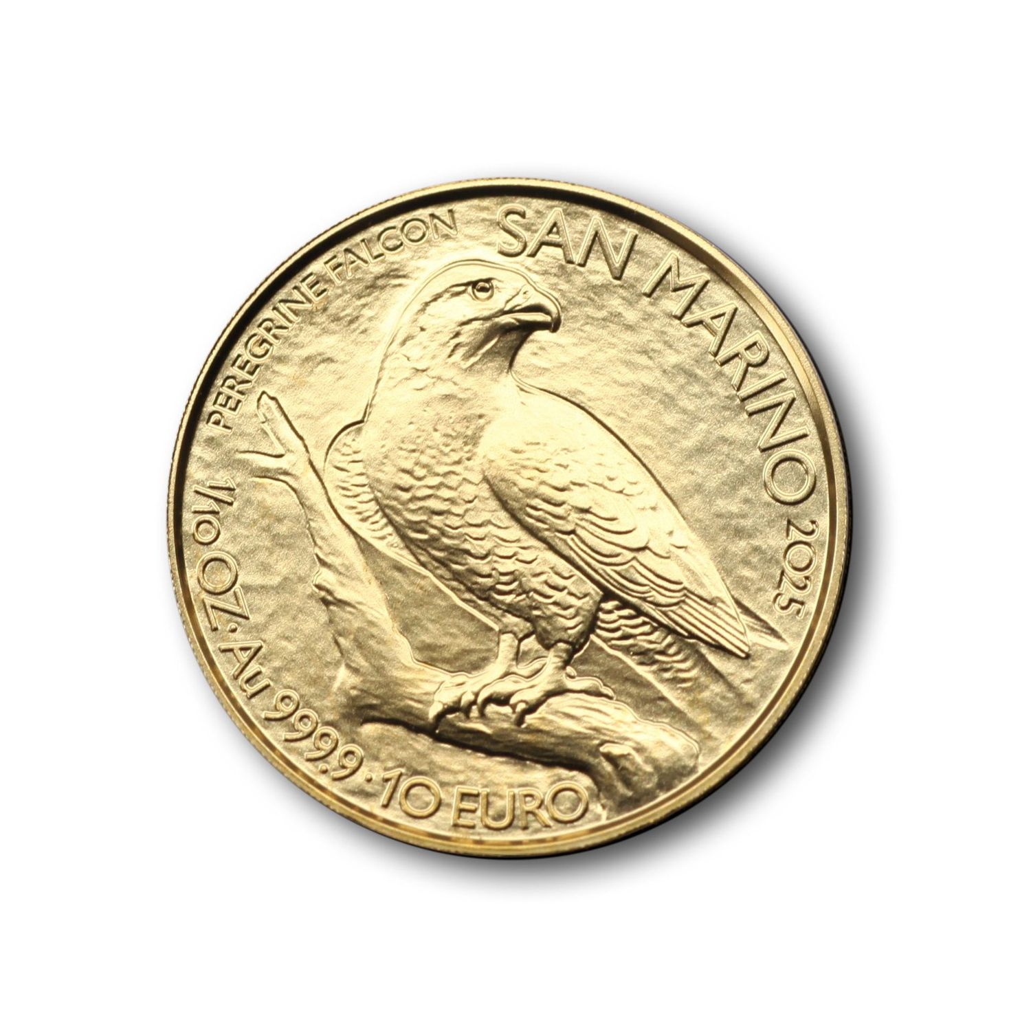 1/10 oz Oro 10 euro San marino 2025 - Halcon Peregrino 1/10 oz Oro 10 euro San marino 2025 - Halcon Peregrino