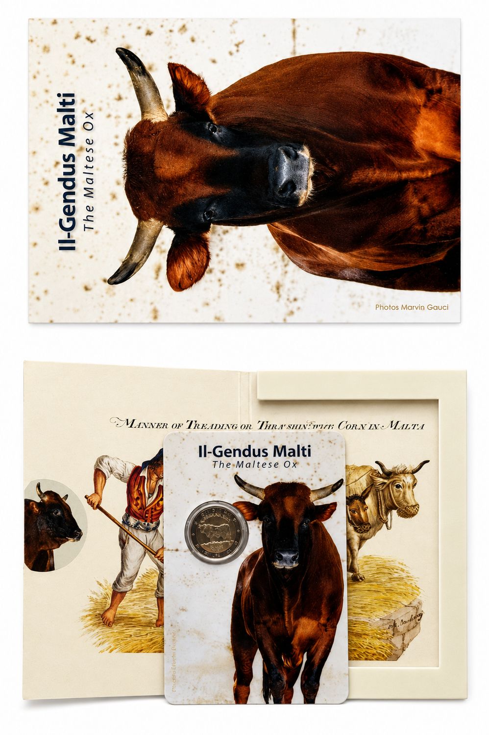 Coincard 2 euro Malta 2025 - Buey Maltés Coincard 2 euro Malta 2025 - Buey Maltés